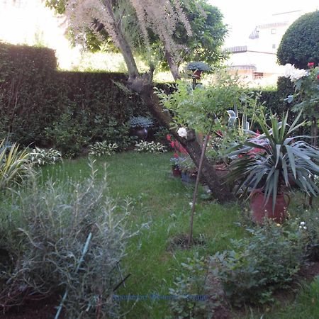 Apartman Wisteria Vranje Dış mekan fotoğraf