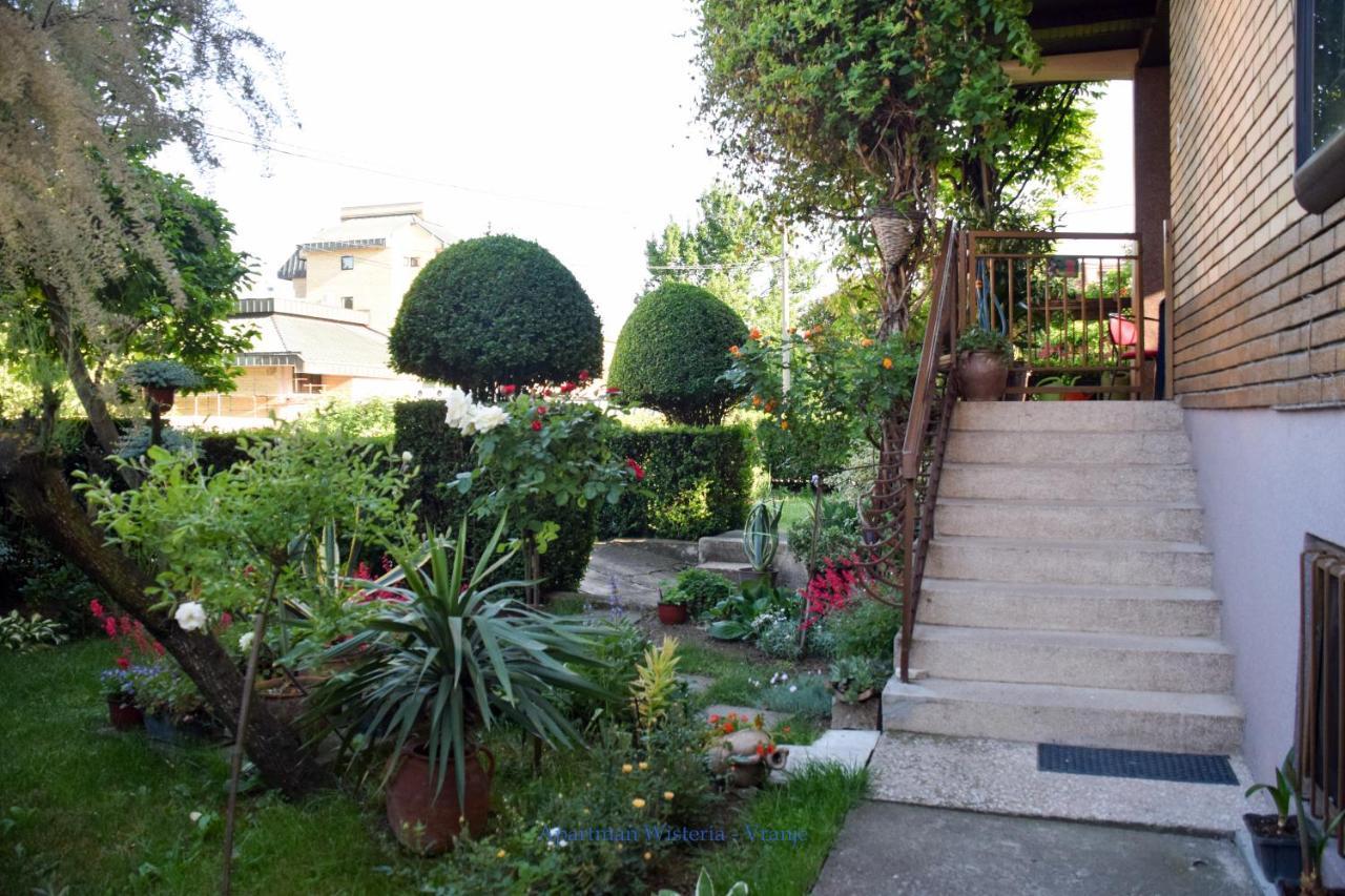 Apartman Wisteria Vranje Dış mekan fotoğraf