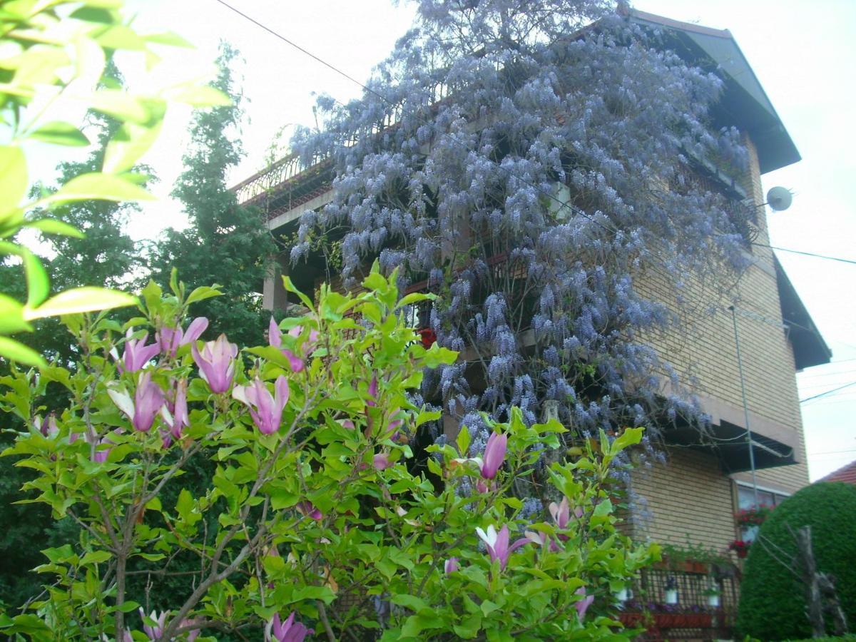 Apartman Wisteria Vranje Dış mekan fotoğraf
