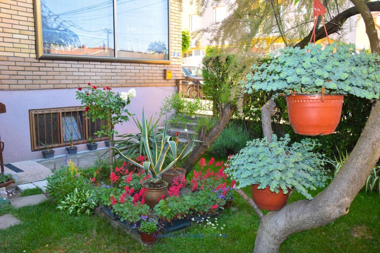 Apartman Wisteria Vranje Dış mekan fotoğraf