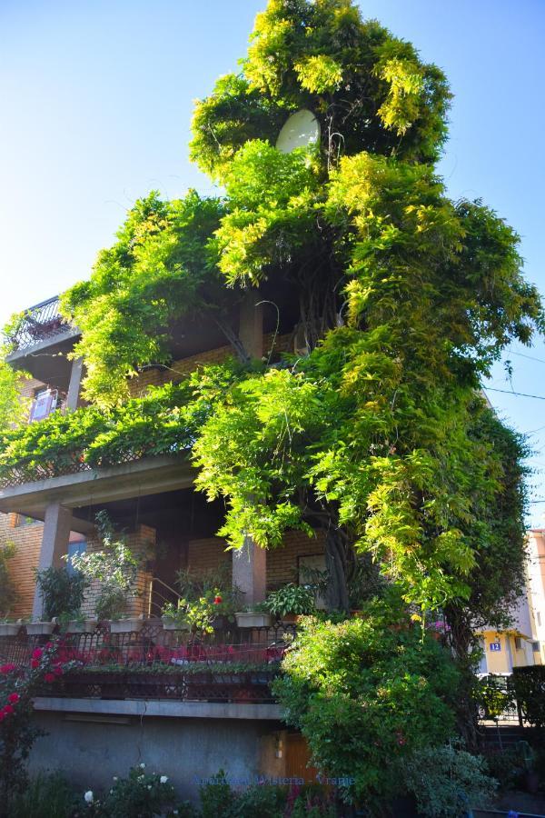 Apartman Wisteria Vranje Dış mekan fotoğraf