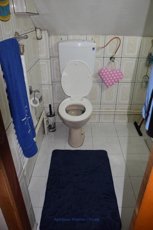 Apartman Wisteria Vranje Dış mekan fotoğraf