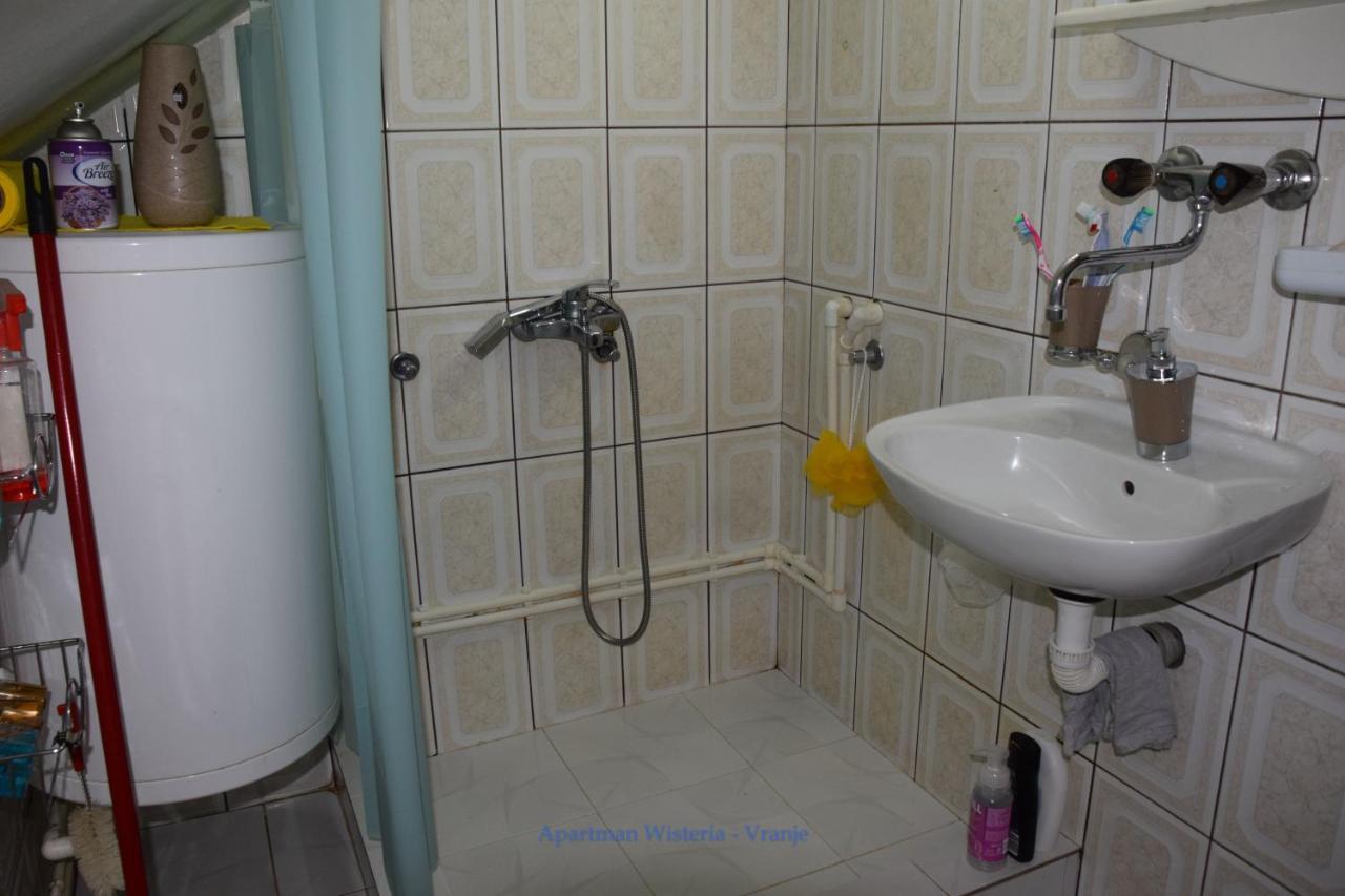Apartman Wisteria Vranje Dış mekan fotoğraf