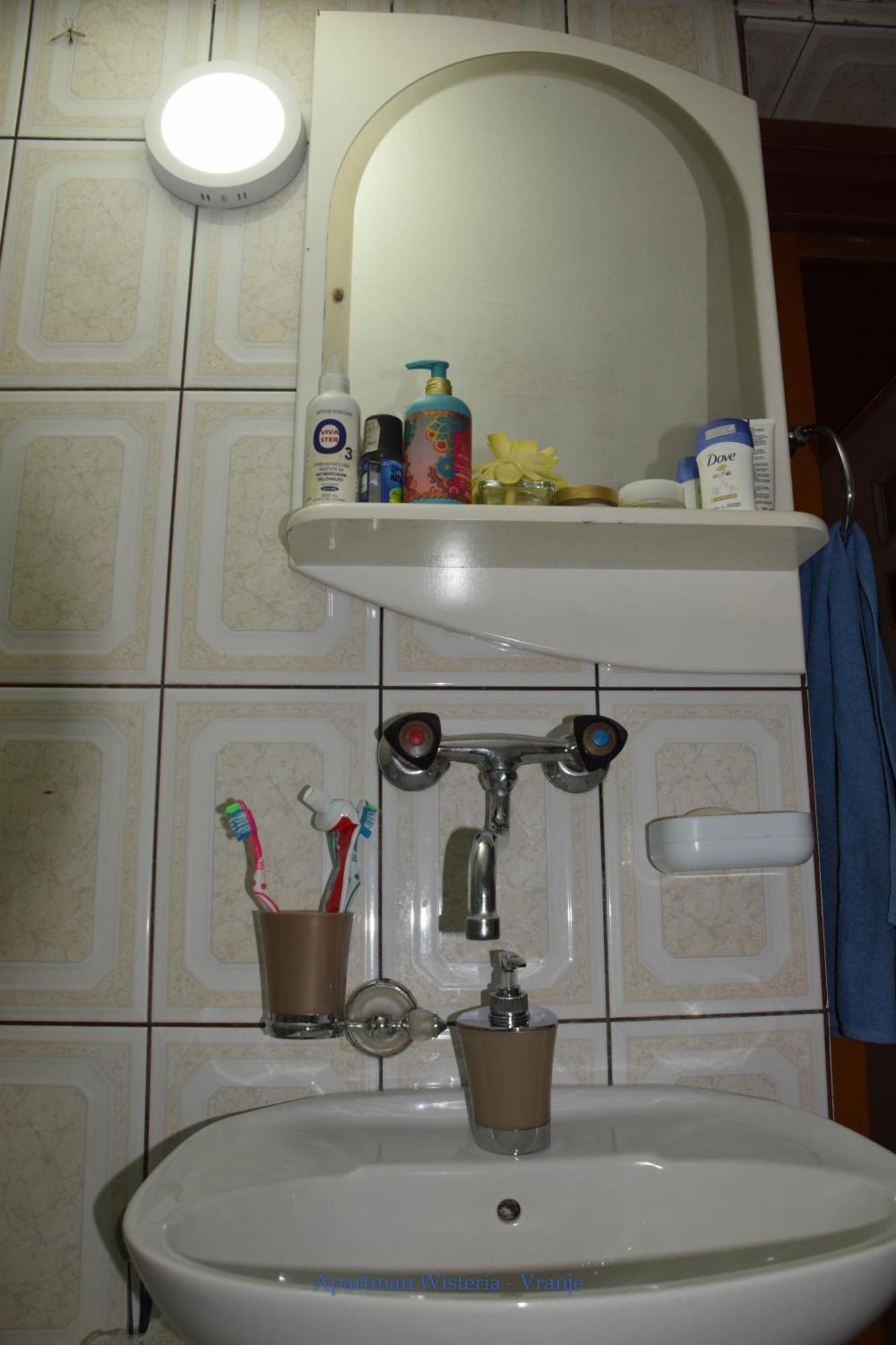 Apartman Wisteria Vranje Dış mekan fotoğraf